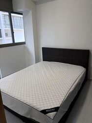Vivace (D9), Apartment #590773701